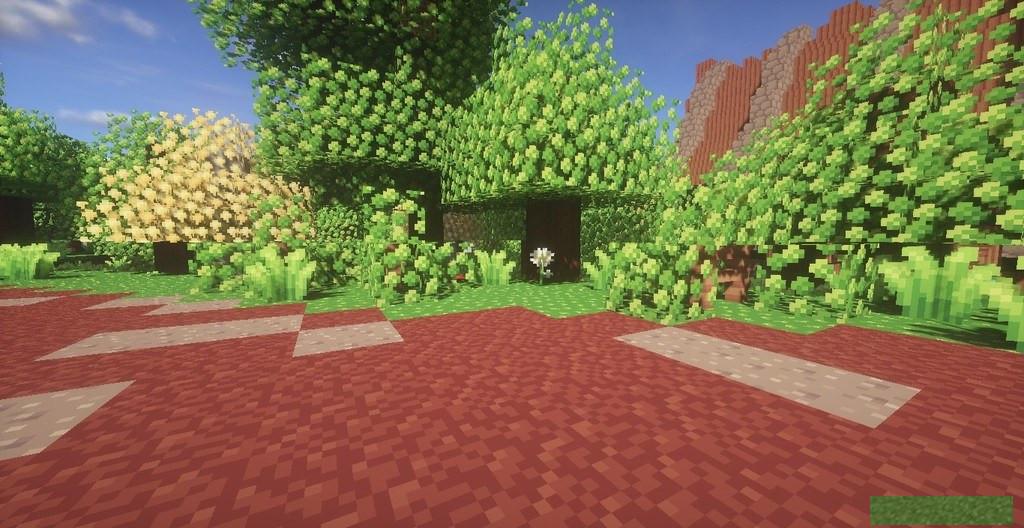My World Flourish Resource Package