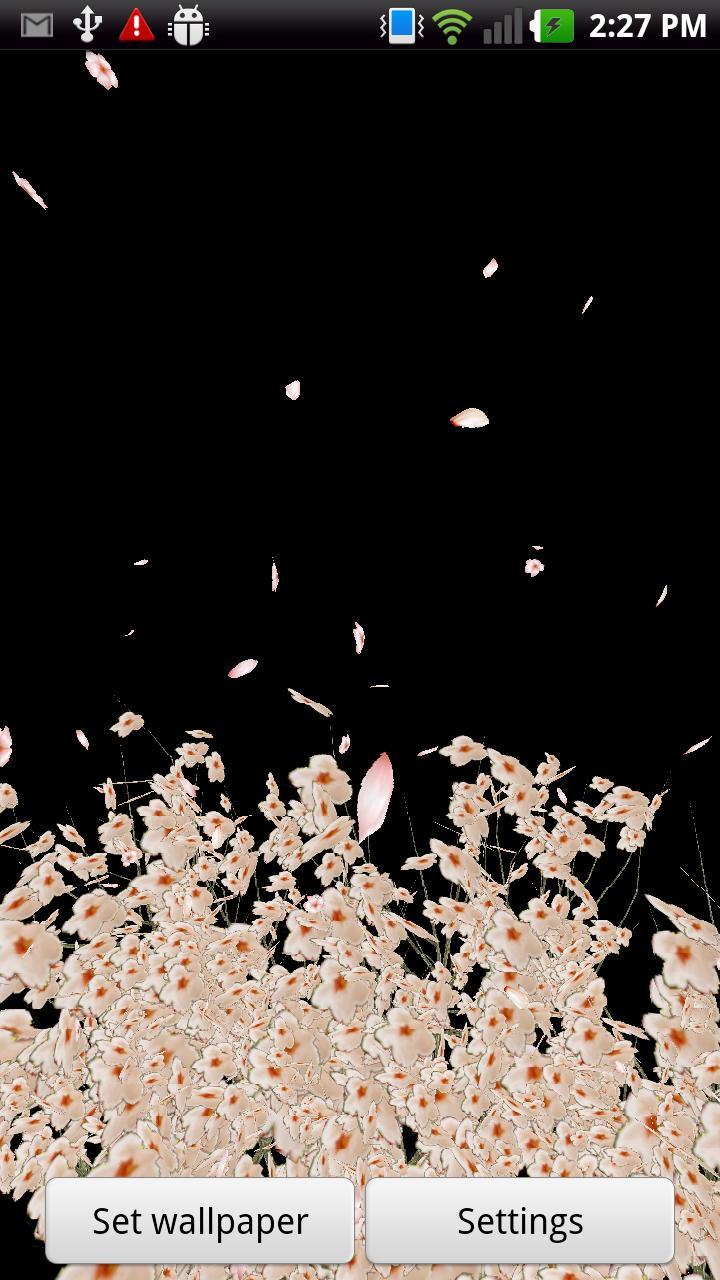 3D Cherry Blossom LWP(Free)