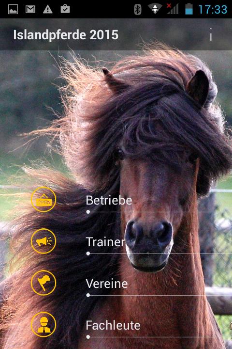 Islandpferde 2015