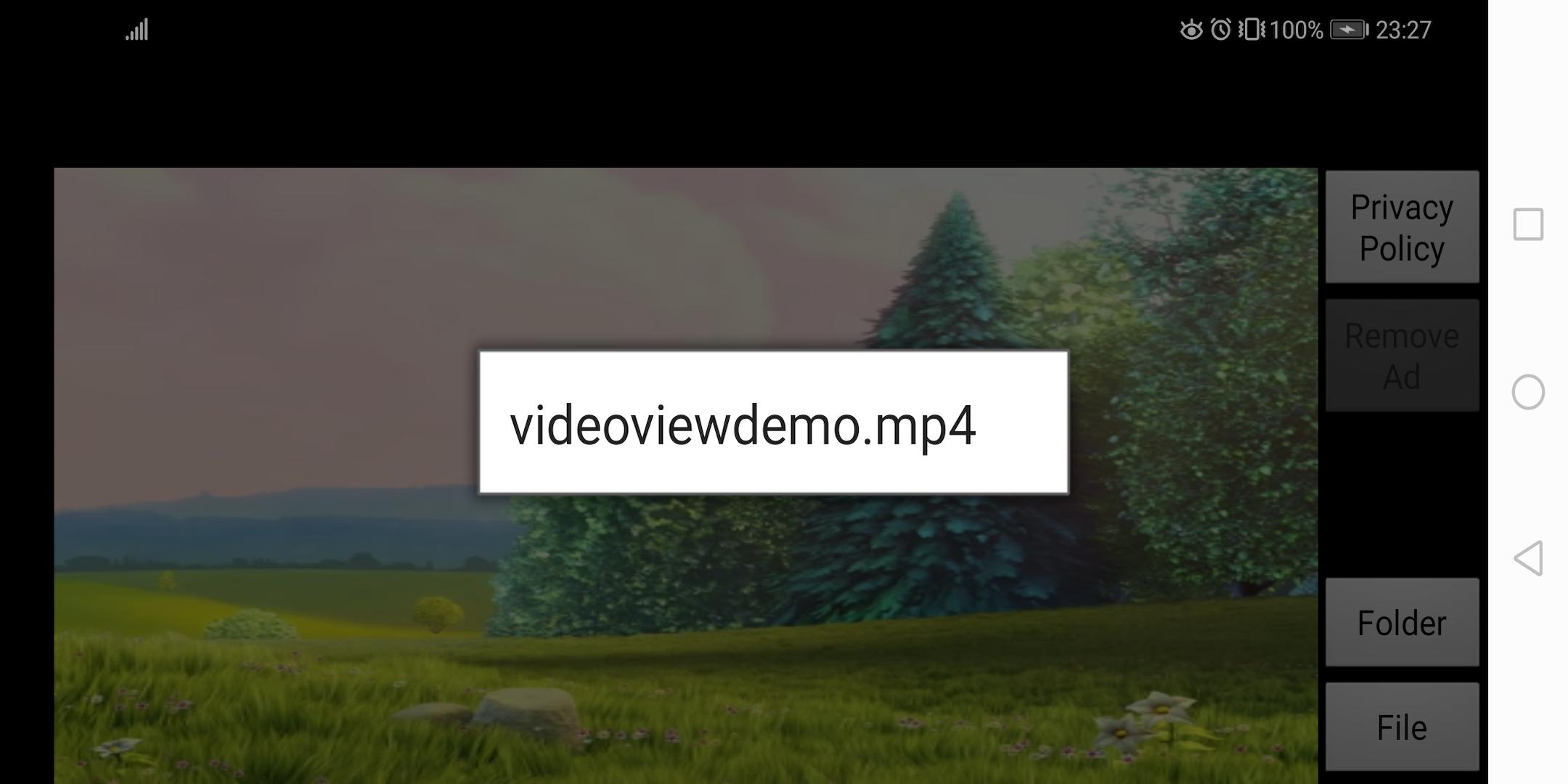 easy SD video player