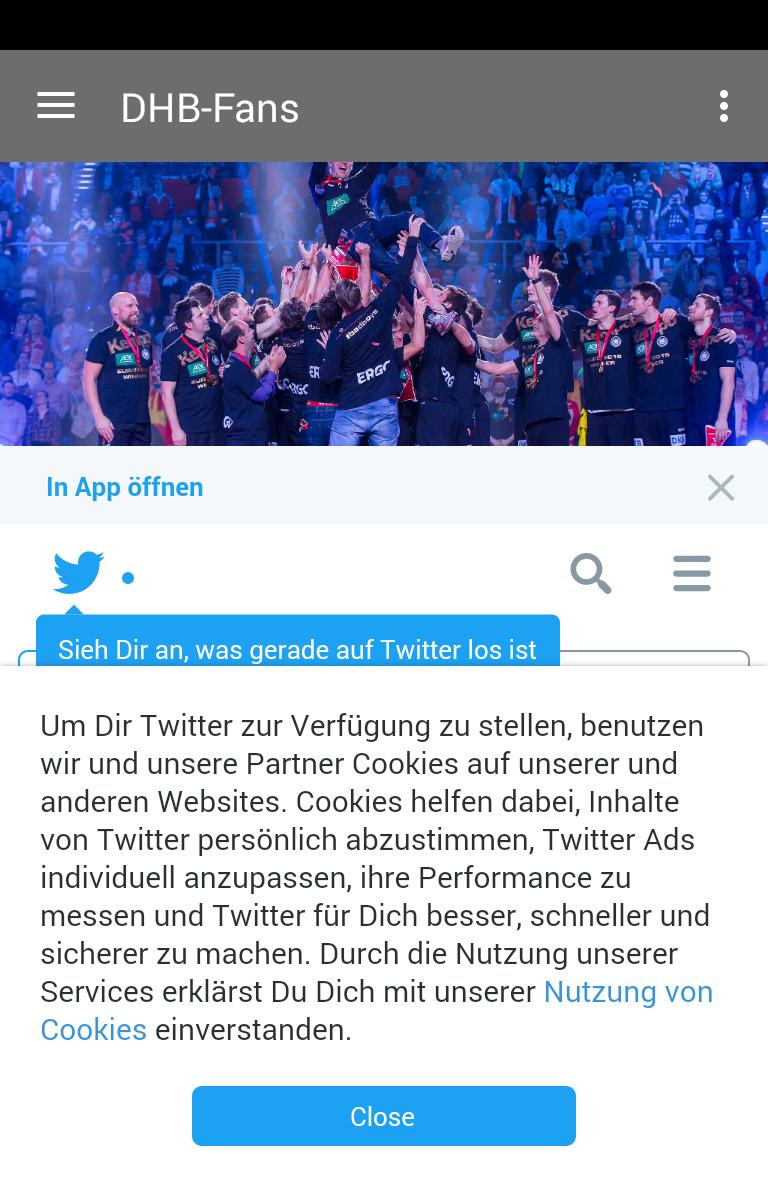 DHB-Fans