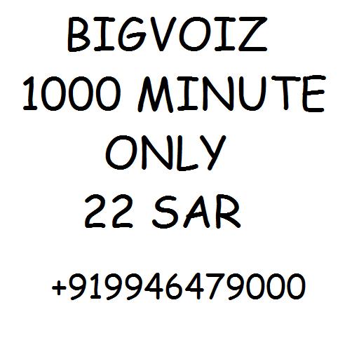 BigVoize