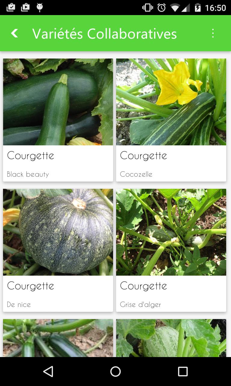 Potager et Jardin