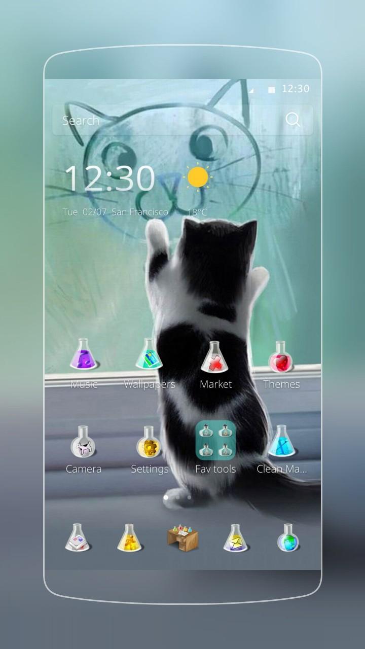 I am Cat